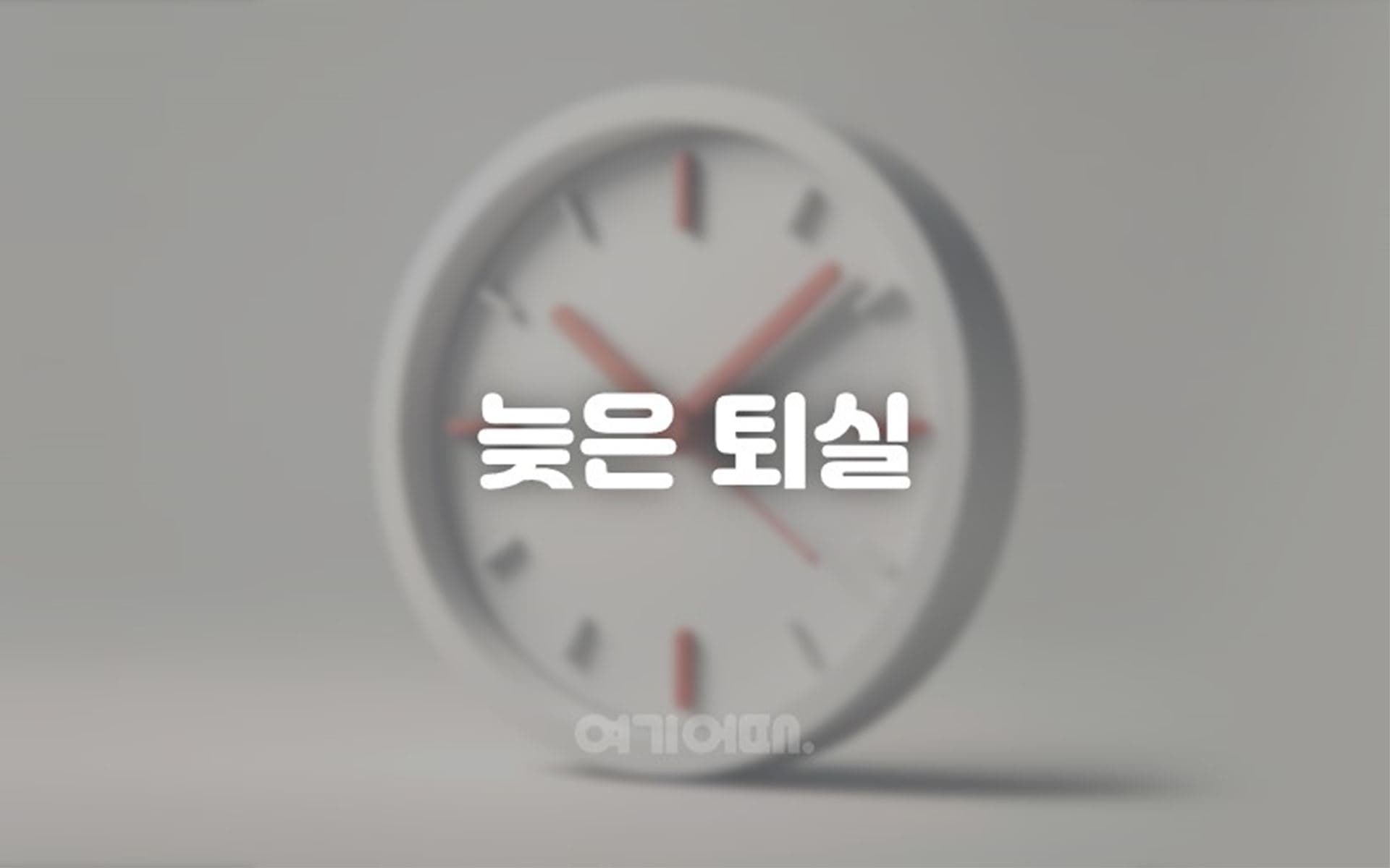 시흥 하운드-거북섬점 8