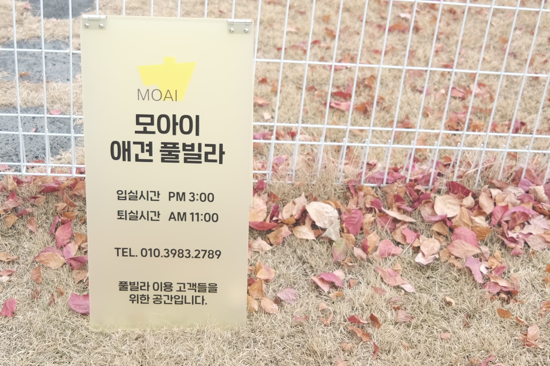 가평 모아이 애견동반풀빌라펜션 10
