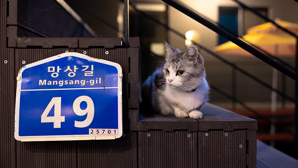 동해 글로리아펜션 6