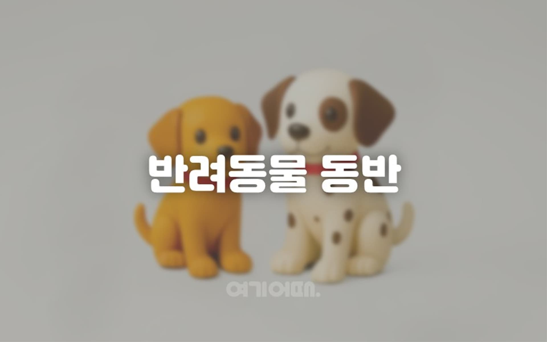 동해 넘버25호텔-묵호점 4
